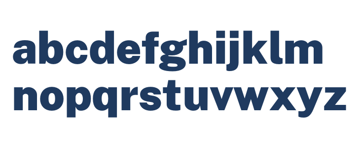 Public Sans Black Lowercase