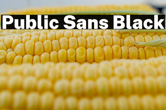 Public Sans Black Fuentes examples