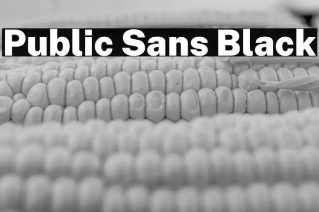 Public Sans Black Font examples