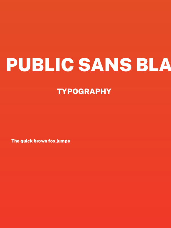 Public Sans Black Poster