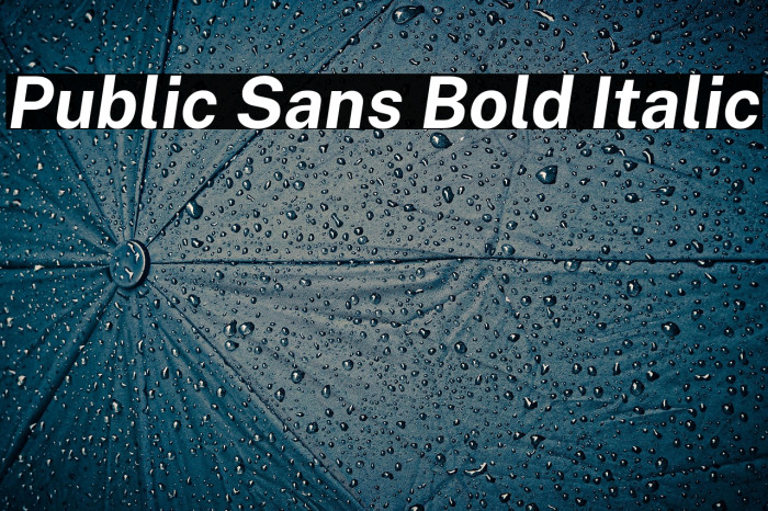 Public Sans Bold Italic Example 1