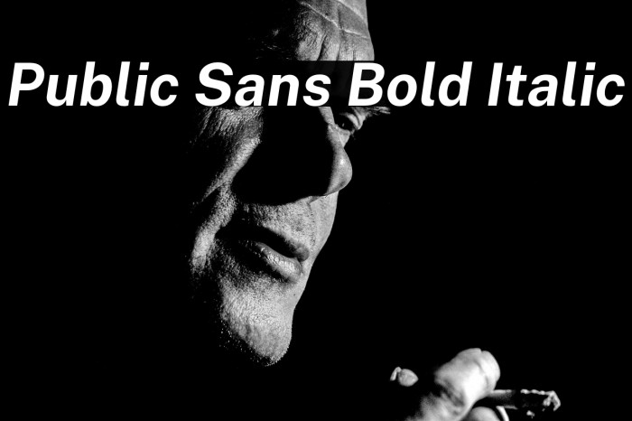 Public Sans Bold Italic Example 2