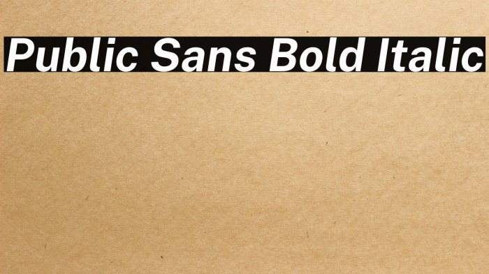 Public Sans Bold Italic Example 3