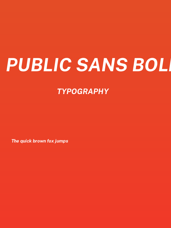Public Sans Bold Italic Poster