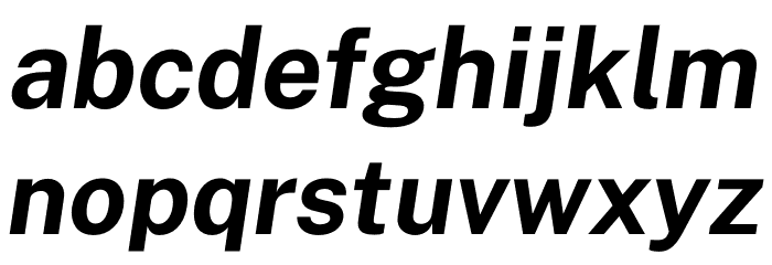 Public Sans Bold Italic Font LOWERCASE