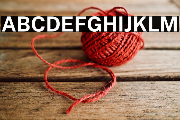 Public Sans Bold Example 2