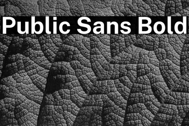Public Sans Bold Font examples