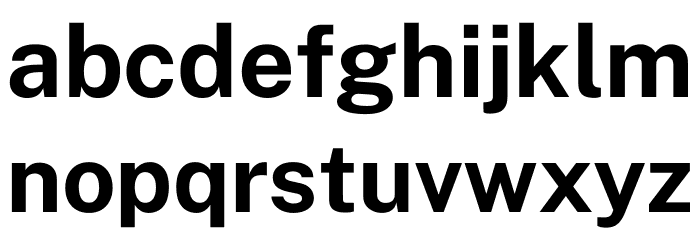 Public Sans Bold Font LOWERCASE