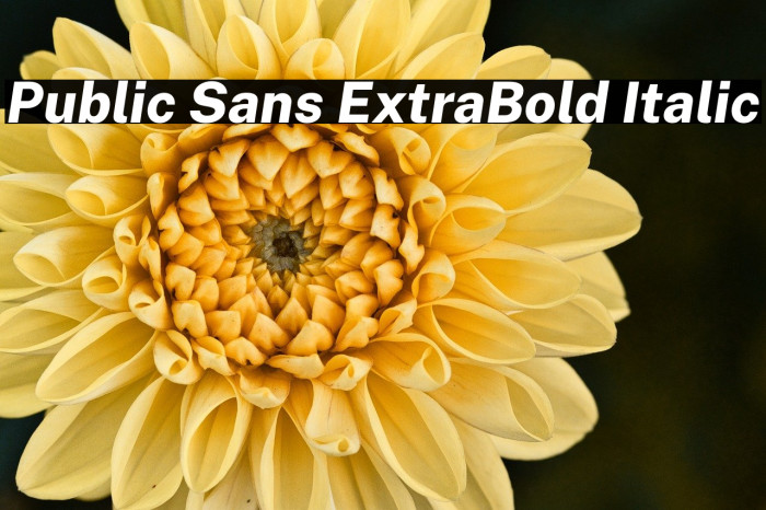Public Sans ExtraBold Italic Example 1