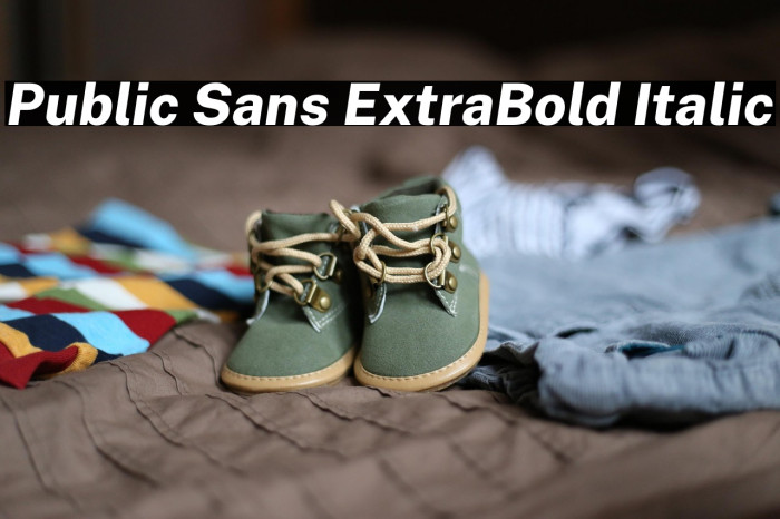 Public Sans ExtraBold Italic Example 2