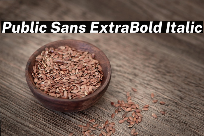 Public Sans ExtraBold Italic Example 3