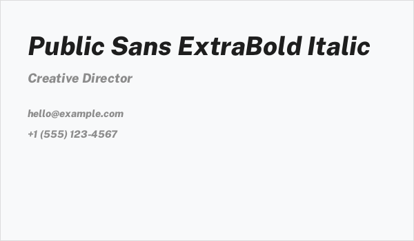 Public Sans ExtraBold Italic Business Card