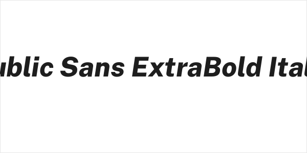Public Sans ExtraBold Italic Logo