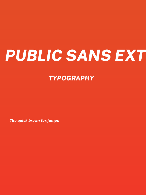 Public Sans ExtraBold Italic Poster