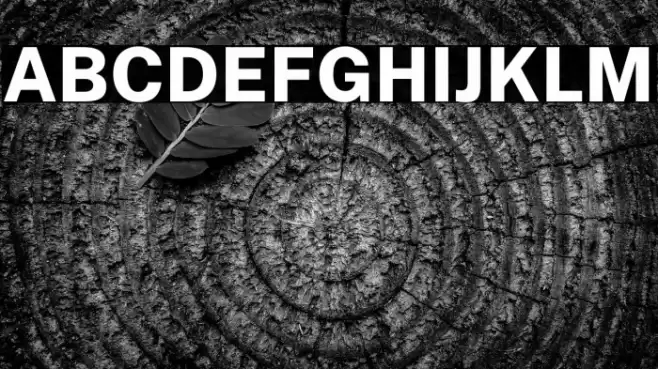 Public Sans ExtraBold Font examples