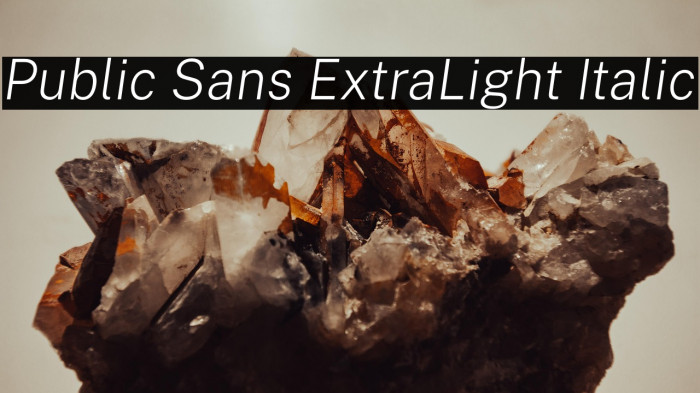 Public Sans ExtraLight Italic Example 1