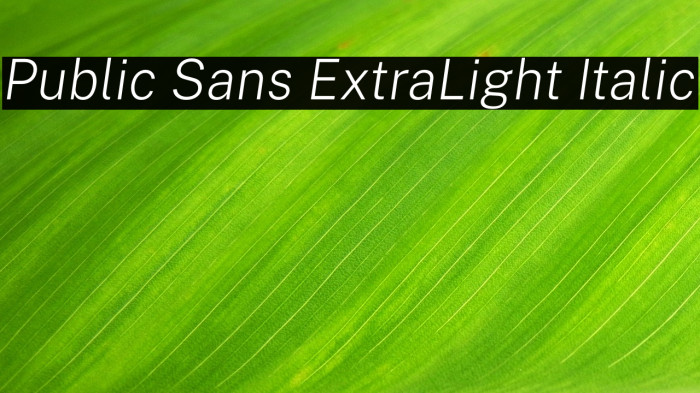 Public Sans ExtraLight Italic Example 2
