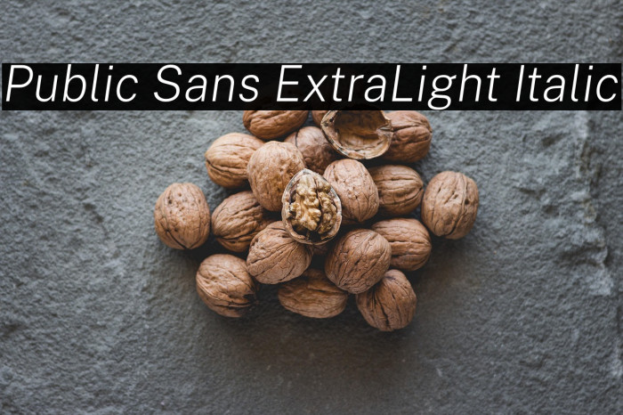 Public Sans ExtraLight Italic Example 3
