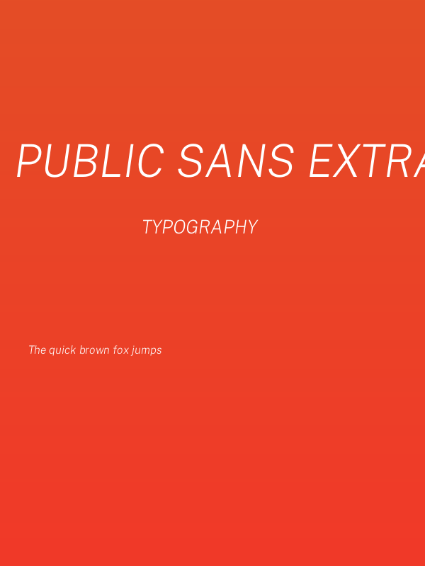 Public Sans ExtraLight Italic Poster