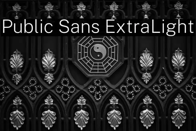 Public Sans ExtraLight Font examples