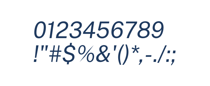 Public Sans Italic Other Characters