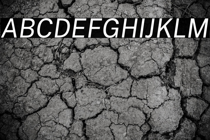 Public Sans Italic Example 1