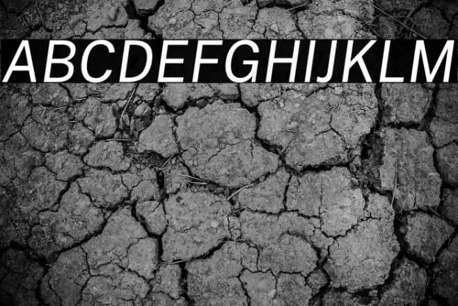 Public Sans Italic Font examples