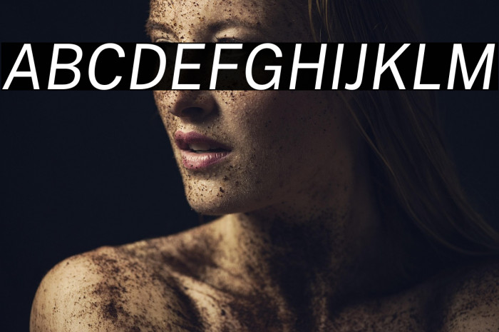 Public Sans Italic Example 2