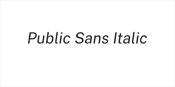 Public Sans Italic Logo