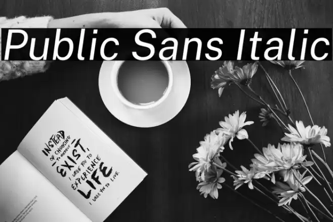 Public Sans Italic Font examples