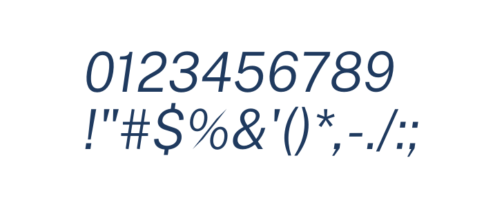 Public Sans Light Italic Other Characters