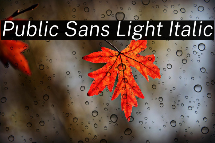 Public Sans Light Italic Example 1