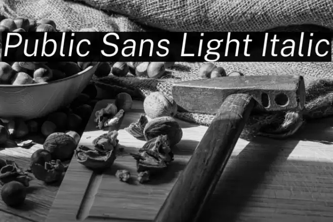 Public Sans Light Italic Font examples