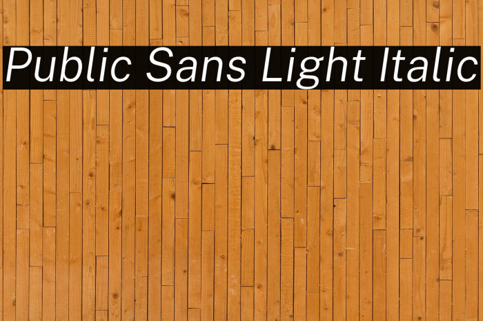 Public Sans Light Italic Example 3