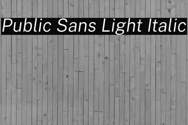 Public Sans Light Italic Font examples