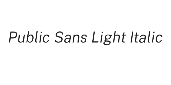 Public Sans Light Italic Logo