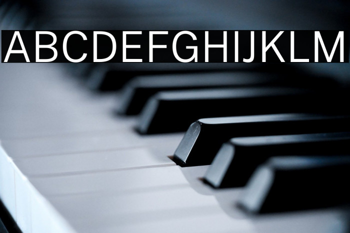 Public Sans Light Example 2