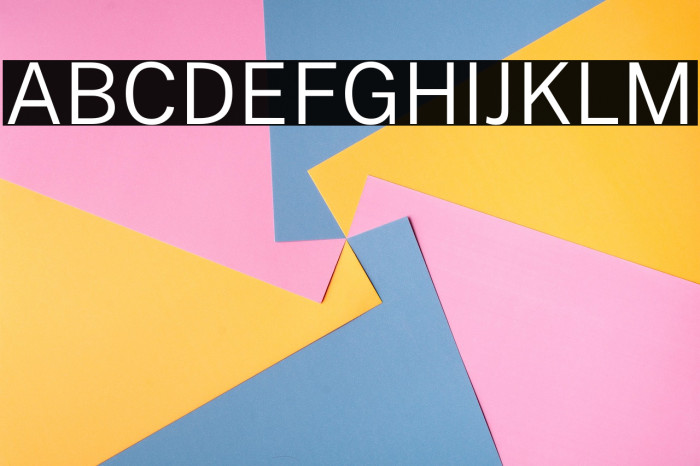 Public Sans Light Example 3