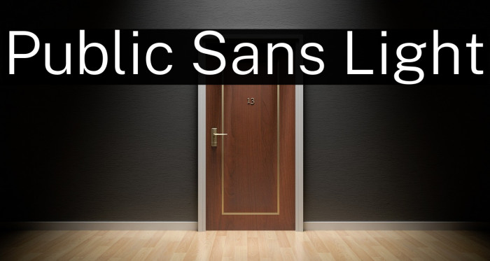 Public Sans Light फ़ॉन्ट examples