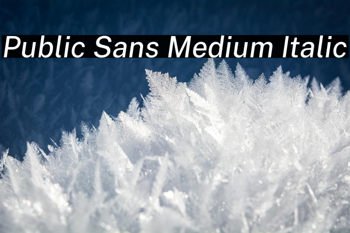 Public Sans Medium Italic Example 1