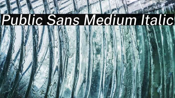Public Sans Medium Italic Example 2