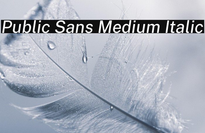 Public Sans Medium Italic Example 3