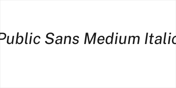 Public Sans Medium Italic Logo