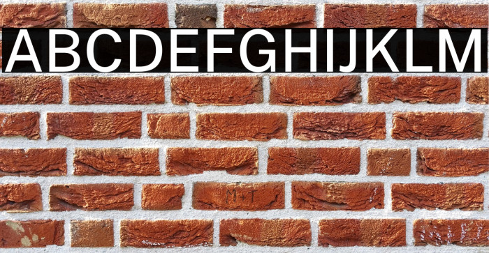 Public Sans Medium Example 1