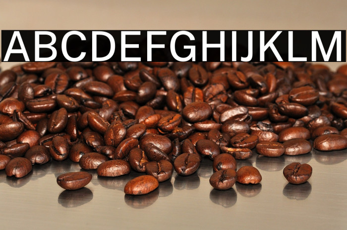 Public Sans Medium Example 3