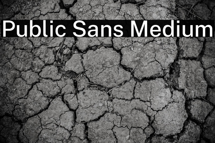 Public Sans Medium Font examples