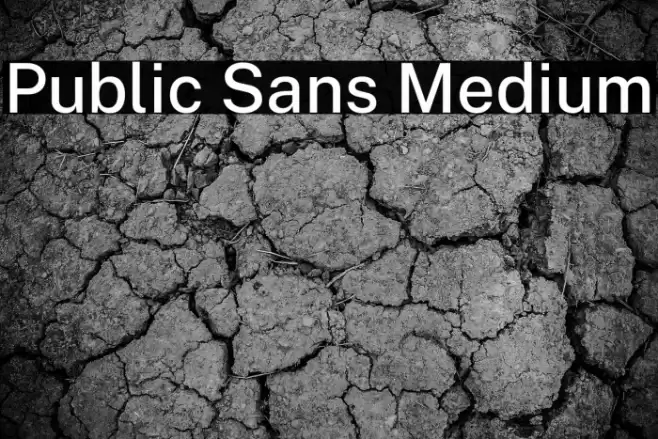 Public Sans Medium Font examples