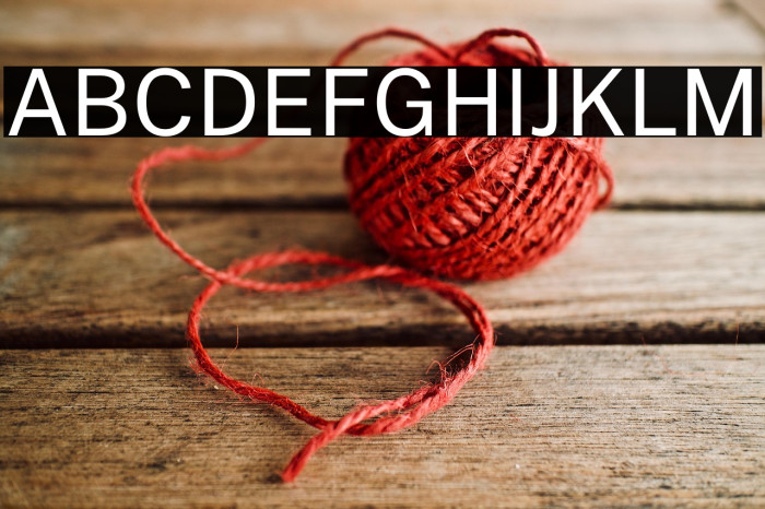 Public Sans Regular Example 1