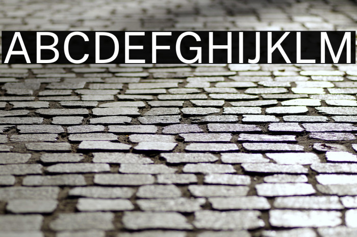 Public Sans Regular Example 2