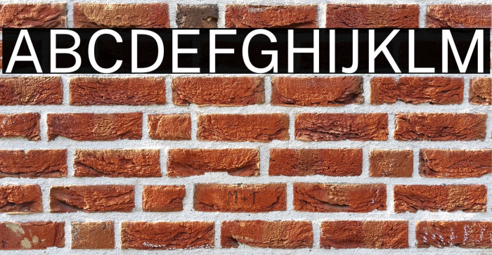 Public Sans Regular Example 3